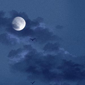 中国美女裸体舞AAAAA级
