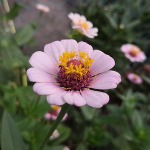 中国美女裸体舞AAAAA级
